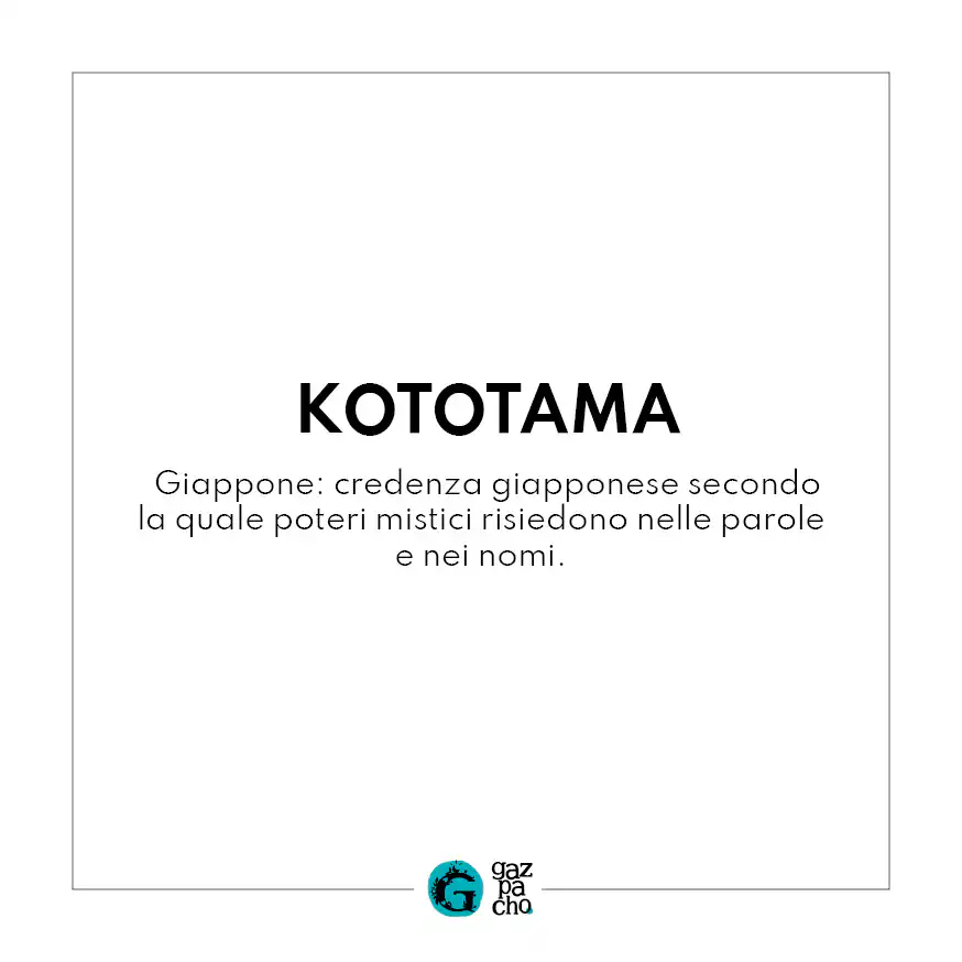 Portacosette Kototama - immagine 5