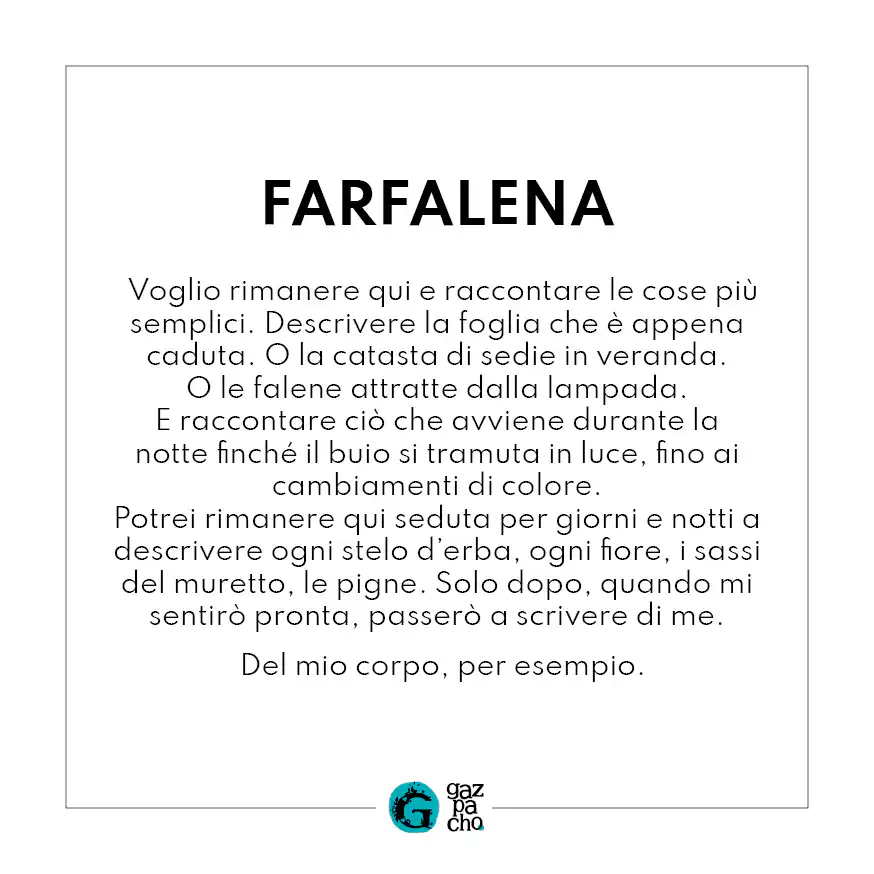 Abraccialibere Farfalena - immagine 9