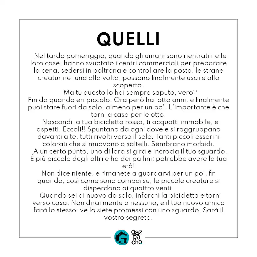 Portacosette Quelli - immagine 5