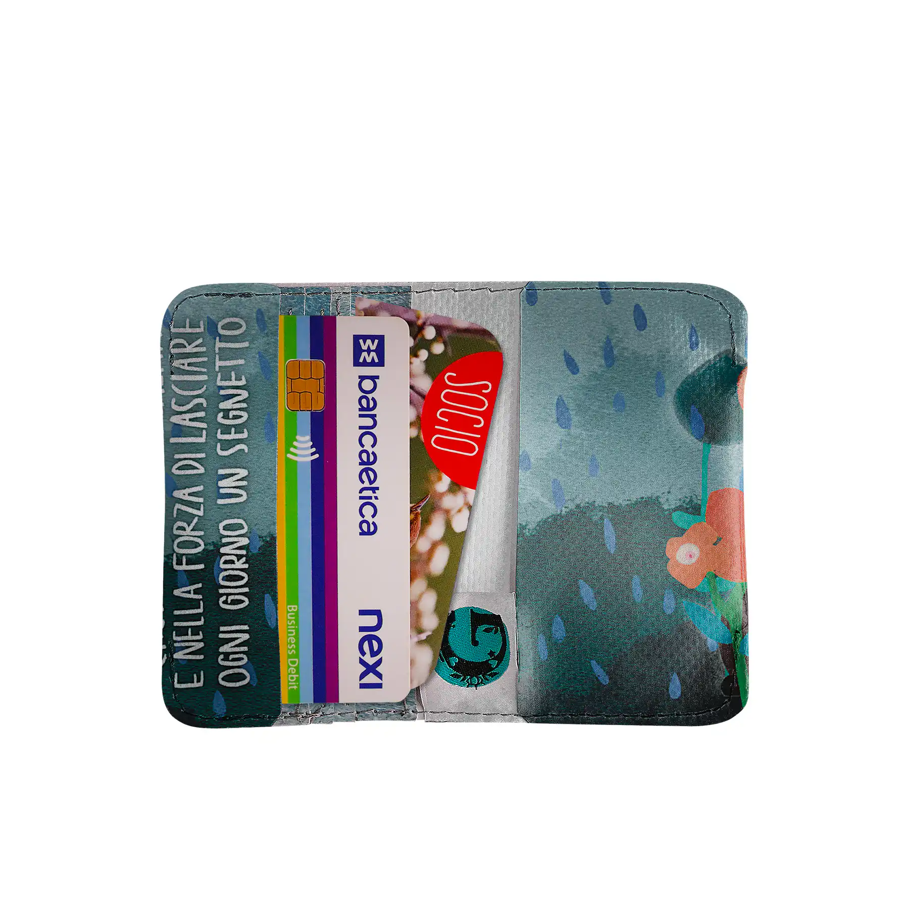 Cucciolo Segnetto - immagine 4