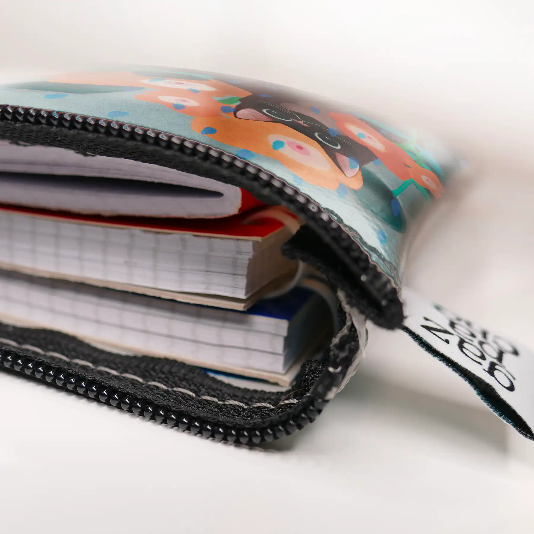 PortamiquelLibrone Segnetto - immagine 4